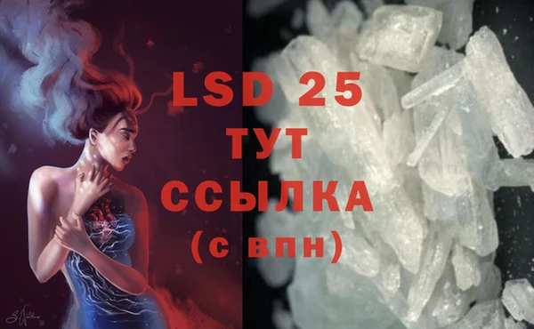 эйфоретик Вяземский