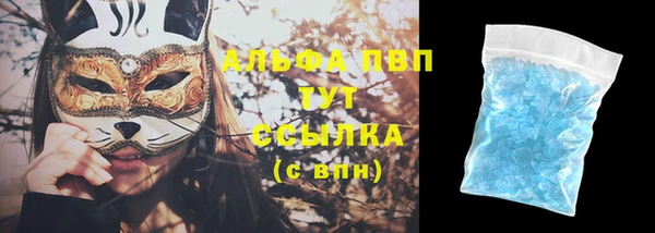 эйфоретик Вяземский
