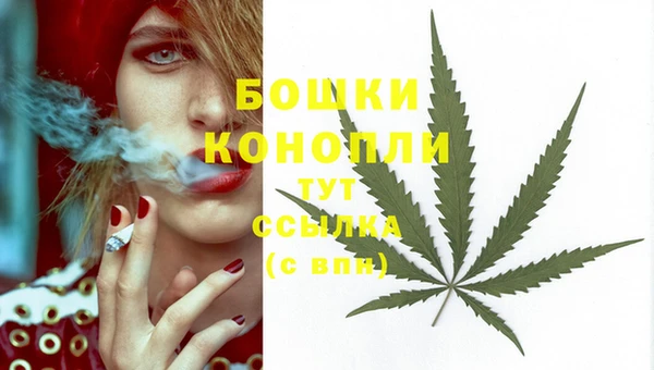 индика Вязники