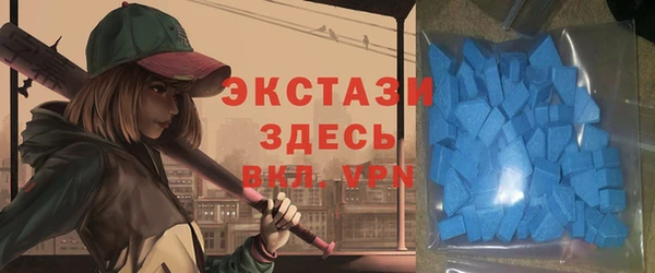 эйфоретик Вяземский