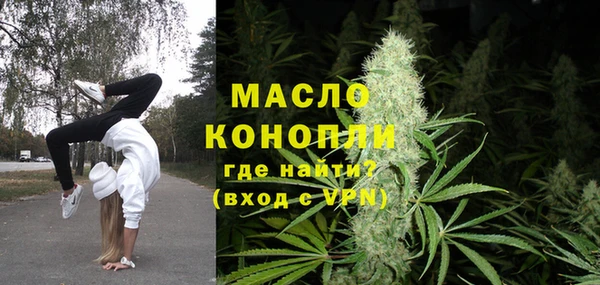 индика Вязники