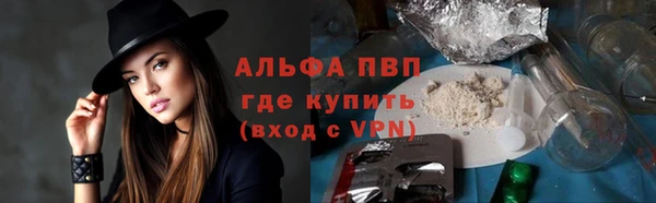 индика Вязники