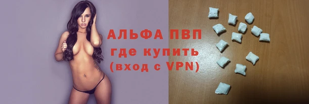 индика Вязники