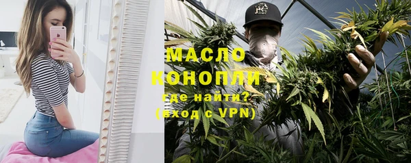 индика Вязники