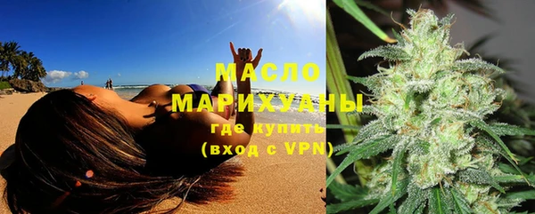 эйфоретик Вяземский
