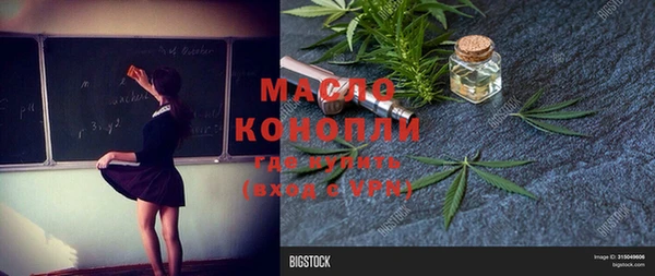 индика Вязники