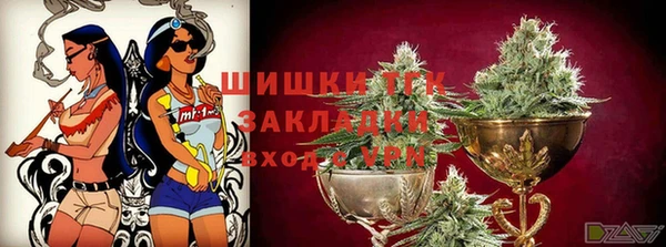 эйфоретик Вяземский