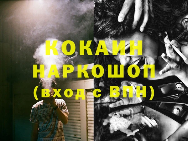 индика Вязники