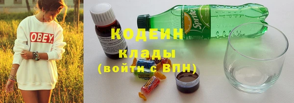 эйфоретик Вяземский
