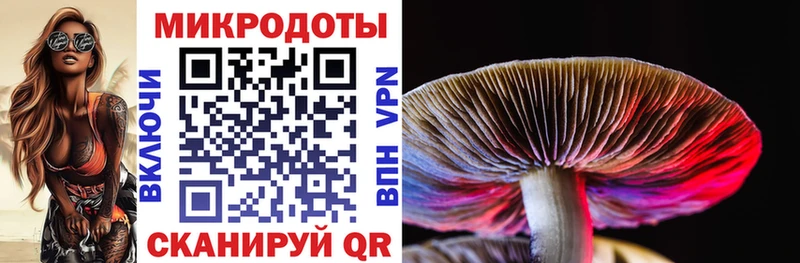 Купить закладки  Боровичи  Псилоцибиновые грибы мухоморы 